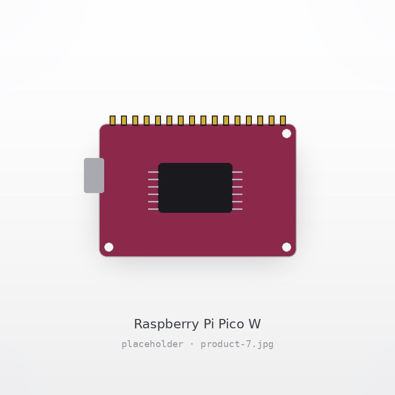 Raspberry Pi Pico W
